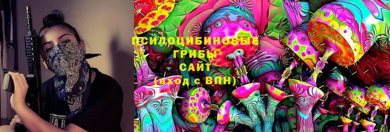 купить закладку  Пучеж  OMG онион  Псилоцибиновые грибы Psilocybe 